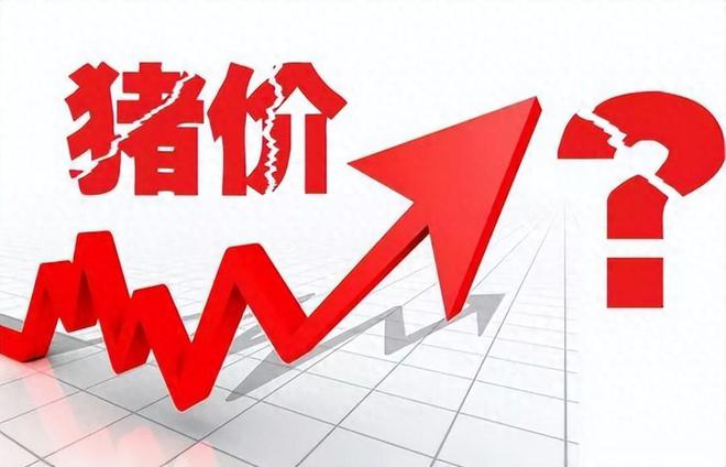 内预测：2025年猪价或运行在13-16元！pg电子免费试玩模拟器年末猪价企稳1
